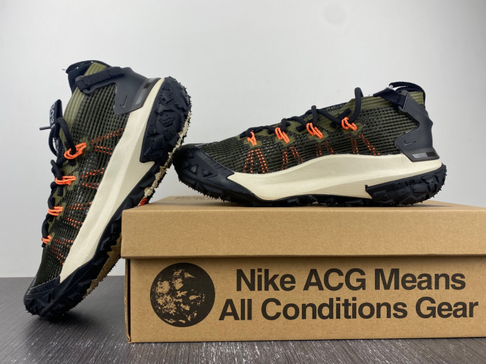 Nike ACG MOUNTAIN FLY LOW 