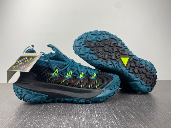 Nike ACG MOUNTAIN FLY LOW 
