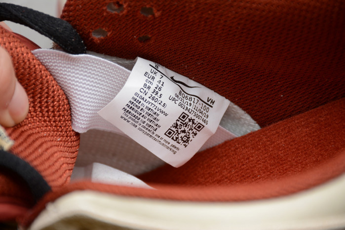 Nike SB Dunk Low Pro Hennessy BQ6817-100