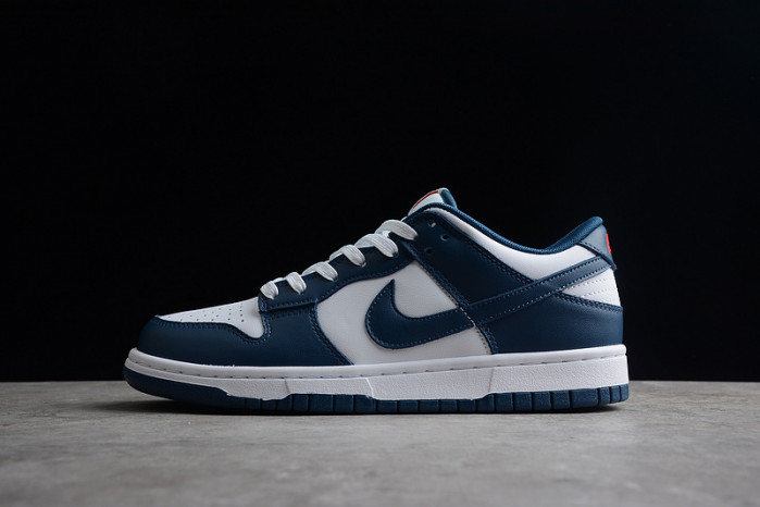 NIKE Dunk Low "Valerian Blue DD1391-400