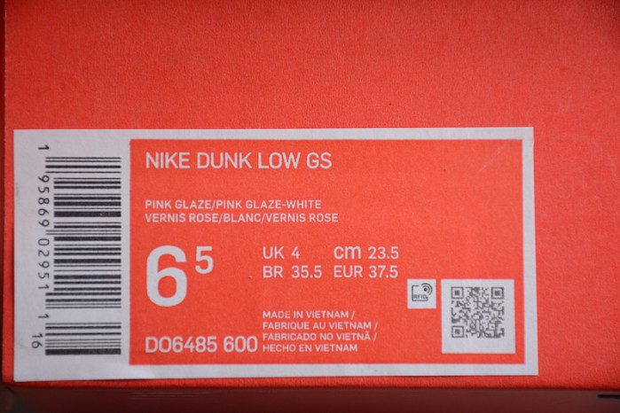 NIKE SB DUNK LOW PRO DO6485-600