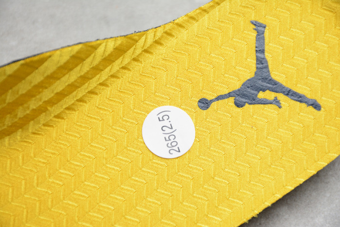 Jordan 5 Retro Michigan (2019) - CQ9541-704