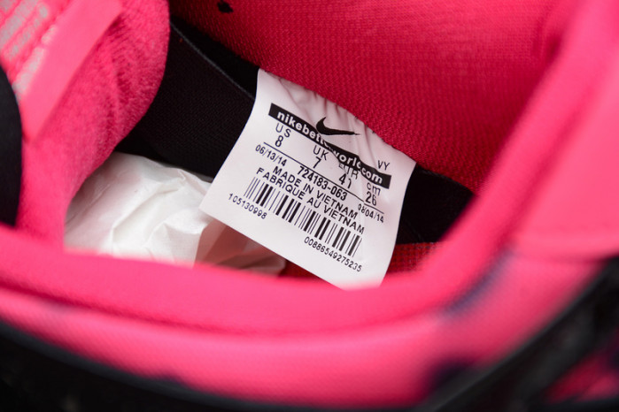 nike dunk sb low premier "N0*Hern lights" - 724183-063