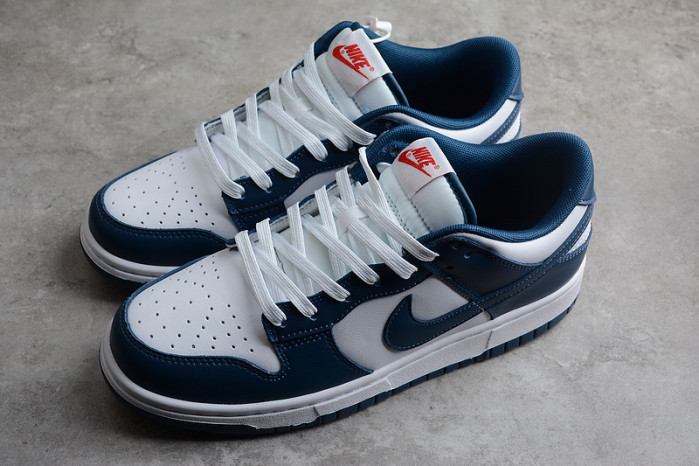 NIKE Dunk Low "Valerian Blue DD1391-400