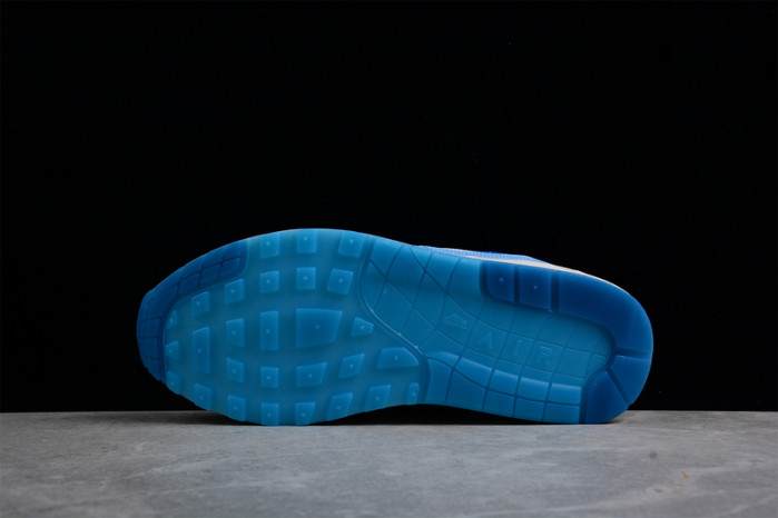 nike air max 1 preM1vm 