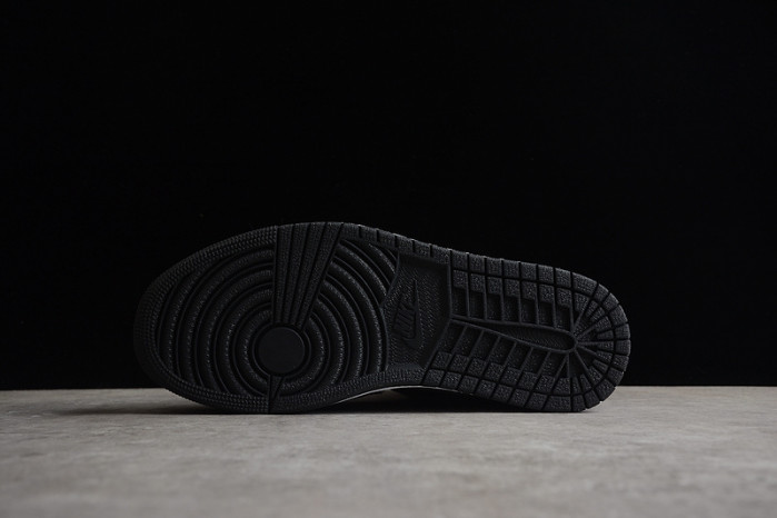 Air Jordan 1 High OG WMNS “Twist 2.0” DZ2523-001