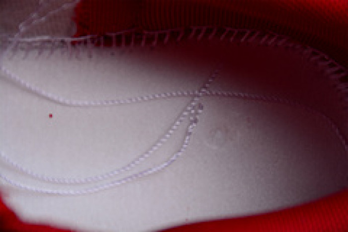 NIKE Dunk Low SG DD1391-602