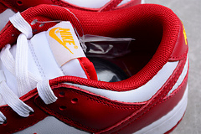 NIKE Dunk Low SG DD1391-602